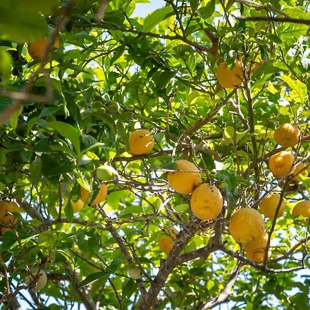 Giardino Sul Mare Апартаменты Отранто