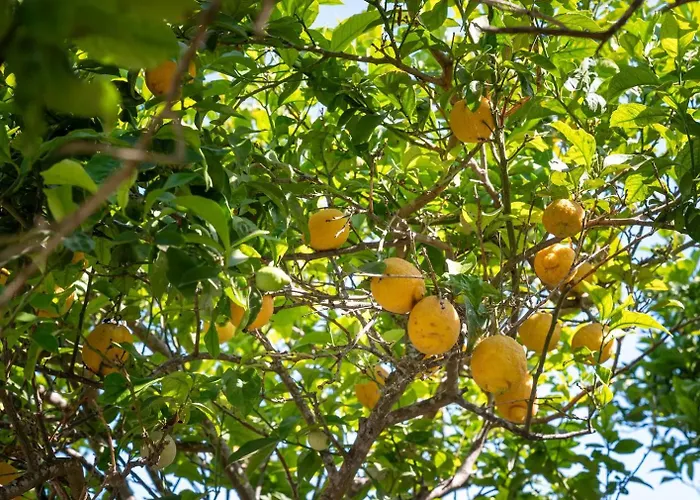 Giardino Sul Mare Apartment Otranto